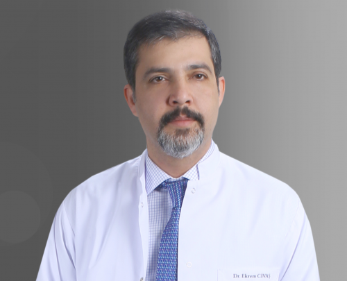 Doç. Dr. Ekrem Civaş